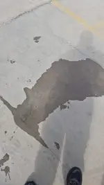 PUDDLE.jpg