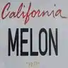 Melon55