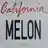 Melon55